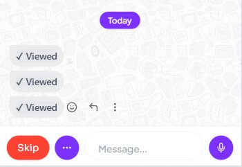 StrangerLine chat screen with voice note button